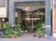 「花の店アルフ」　（愛知県名古屋市中区）の花屋店舗写真1