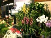 「花の店アルフ」　（愛知県名古屋市中区）の花屋店舗写真2
